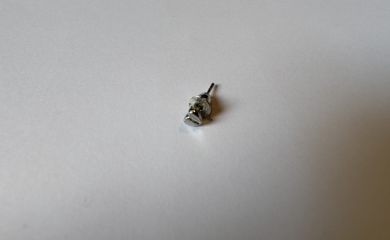 Herzohrstecker